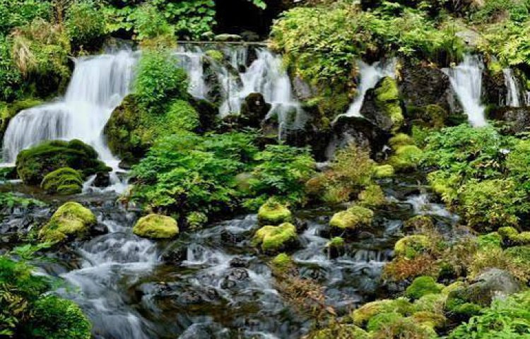 山梨のミネラル豊富な湧水使用